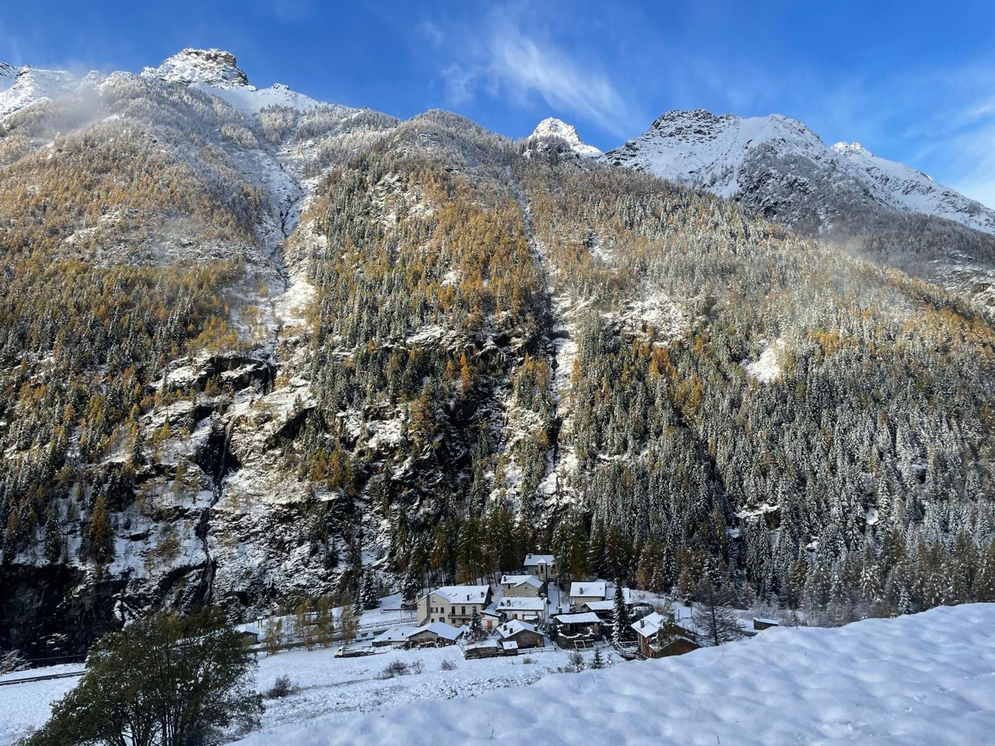 Chalet La Masun Beautiful View Chiesa in Valmalenco